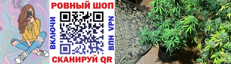 Что такое Татарск Героин  ГАШ  Alpha PVP  Амфетамин  Каннабис  Кокаин 