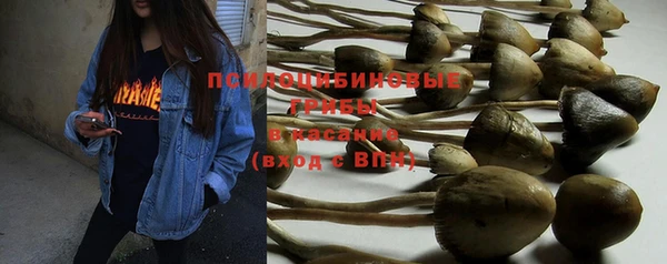 кокаин колумбия Инсар