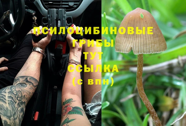 mix Инта