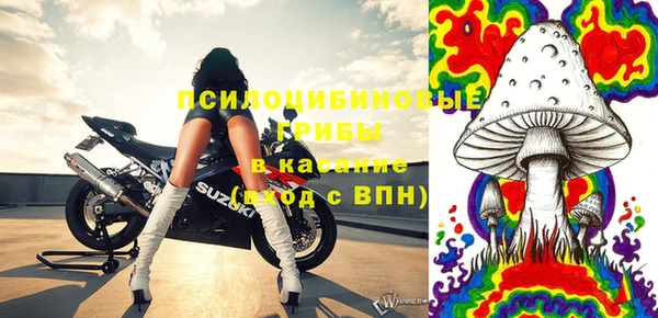 mix Инта