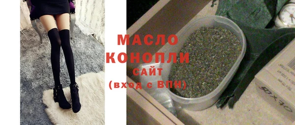 mix Инта