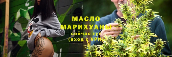 mix Инта