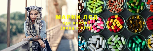 mix Инта