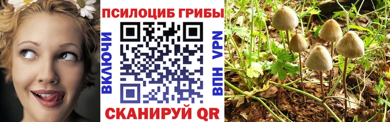 KRAKEN как войти  Татарск  Псилоцибиновые грибы мухоморы 